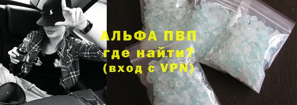 индика Кинешма