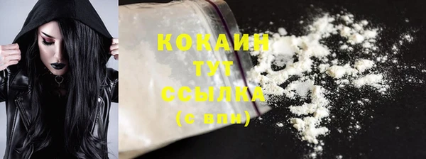 индика Кинешма