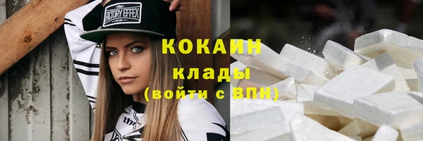 индика Кинешма