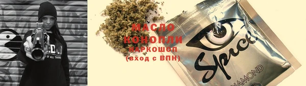 индика Кинешма