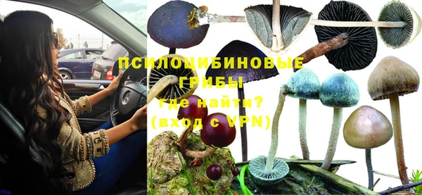прущая мука Киреевск