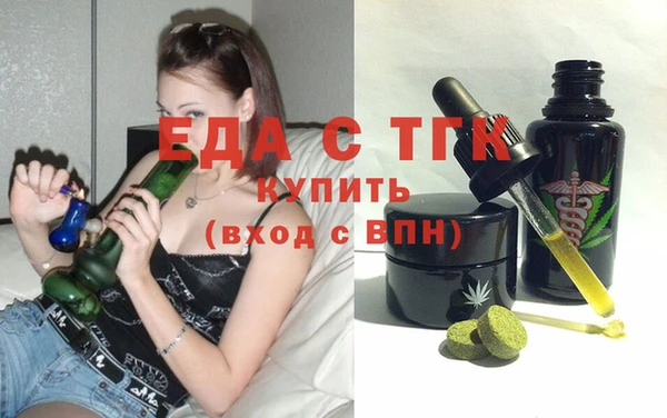 индика Кинешма