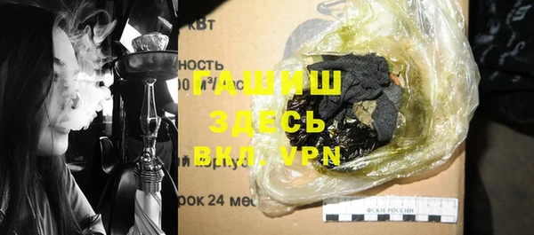 индика Кинешма