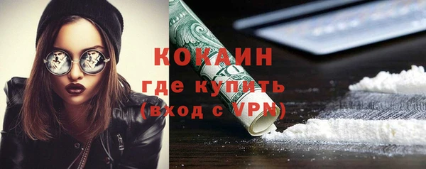 индика Кинешма