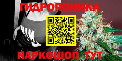 герыч Новокубанск