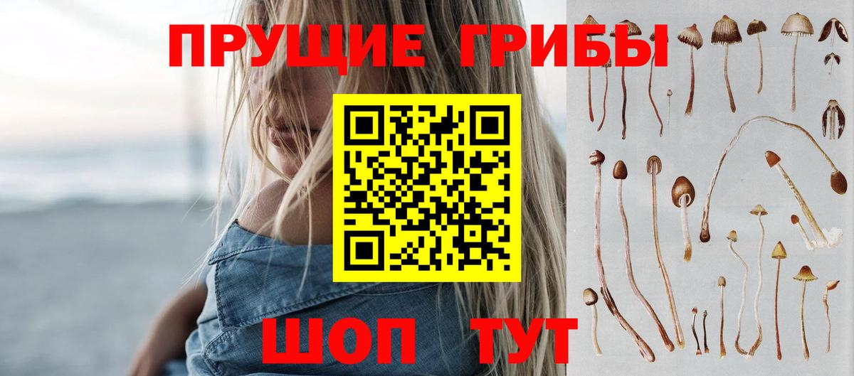 Строитель  Галлюциногенные грибы Magic Shrooms  Вход с VPN 