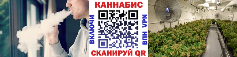 Шишки марихуана гибрид  Строитель 