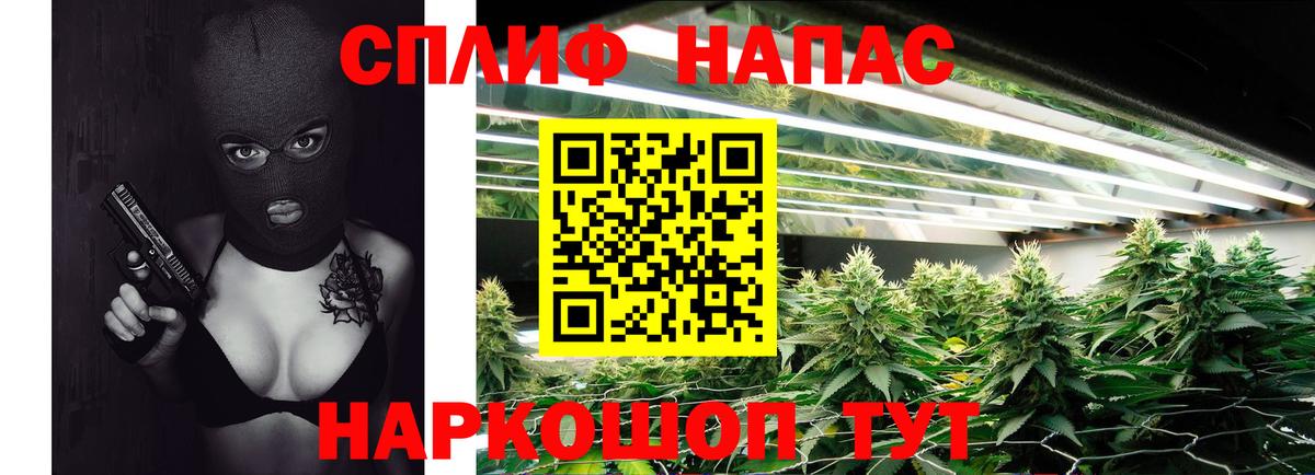 Бошки марихуана индика  Вход с VPN  Бошки марихуана семена  Строитель  МАРИХУАНА гибрид 